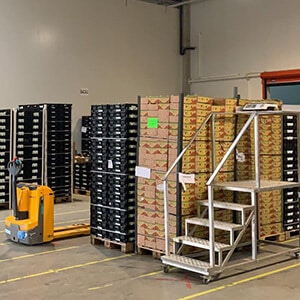 fruit and vegetable storage services